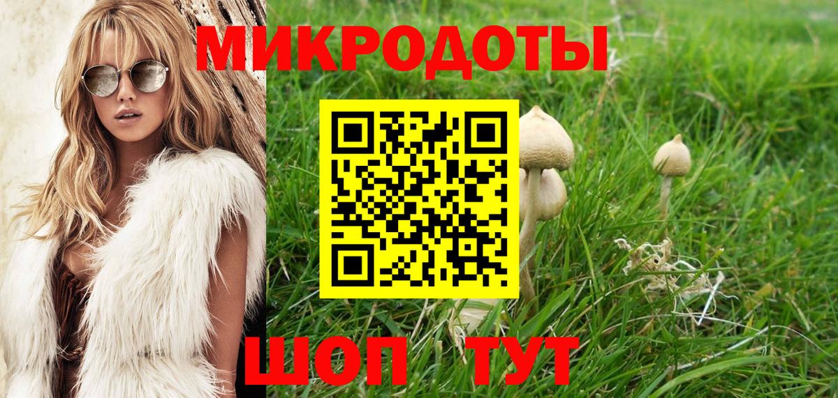 Галлюциногенные грибы Psilocybine cubensis Сертолово