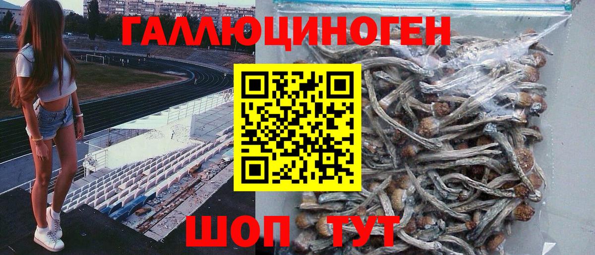 Псилоцибиновые грибы мухоморы  что такое наркотик  Сертолово  Вход с VPN 